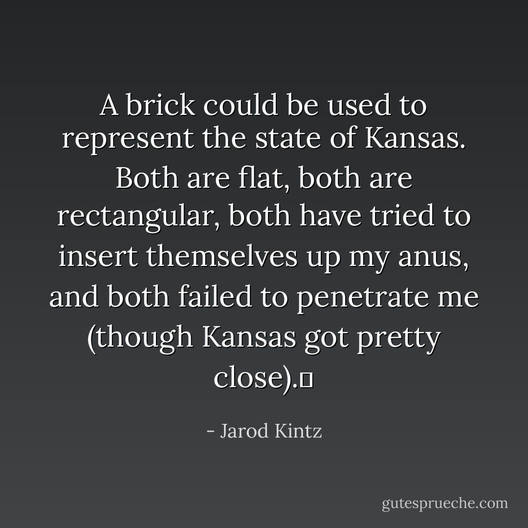 A brick could be used to represent the state of Kansas. Both are flat, both are rectangular, both have tried to insert themselves up my anus, and both failed to penetrate me (though Kansas got pretty close).  - Jarod Kintz