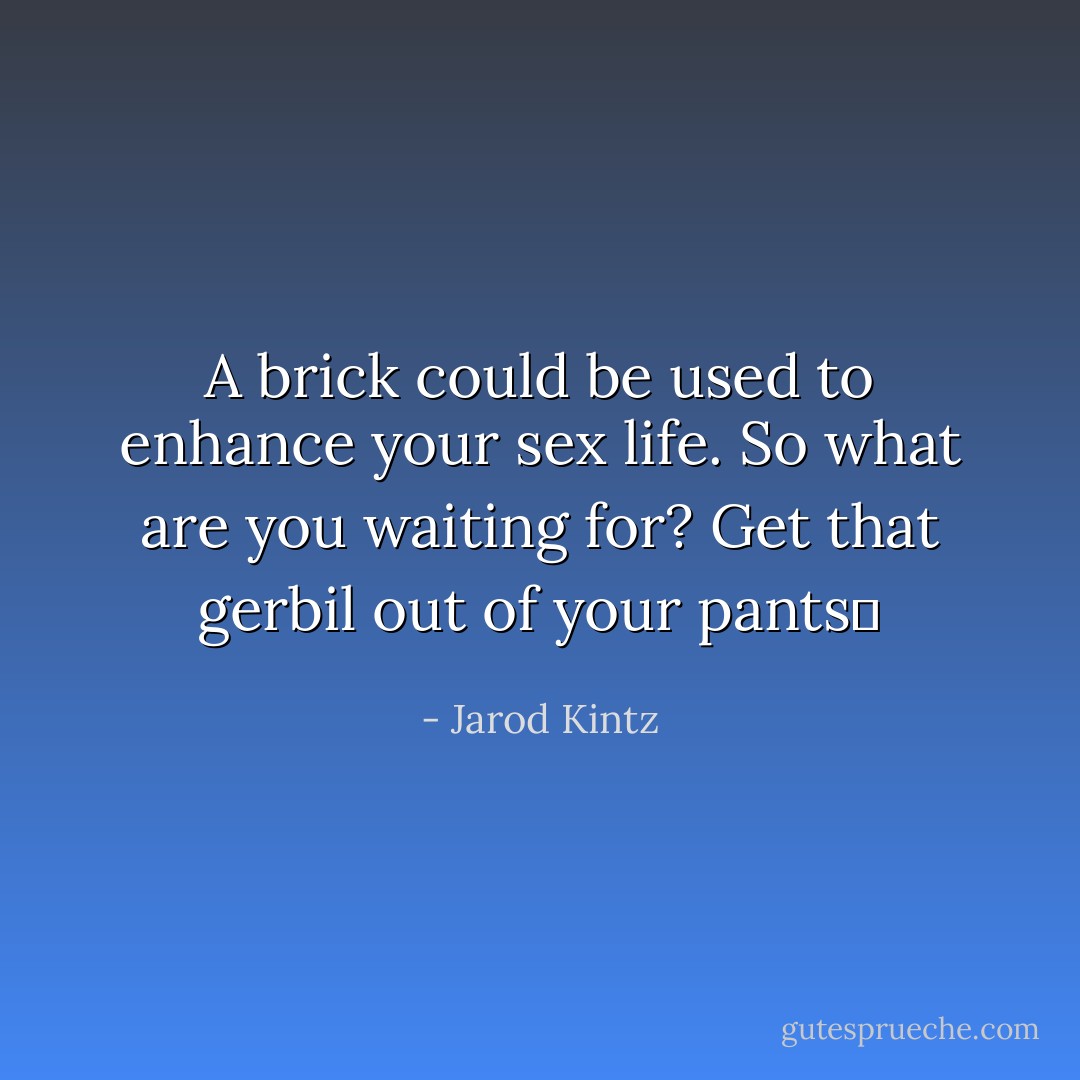 A brick could be used to enhance your sex life. So what are you waiting for? Get that gerbil out of your pants  - Jarod Kintz