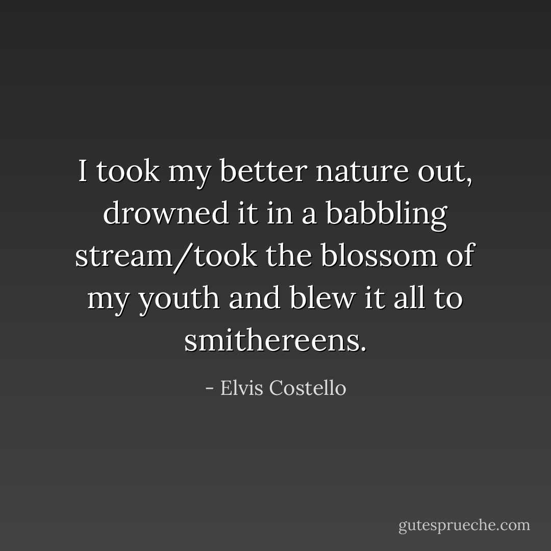 I took my better nature out, drowned it in a babbling stream/took the blossom of my youth and blew it all to smithereens. - Elvis Costello