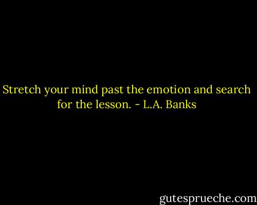 Stretch your mind past the emotion and search for the lesson. - L.A. Banks