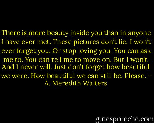There is more beauty inside you than in anyone I have ever met. These pictures don’t lie. I won’t ever forget you. Or stop loving you. You can ask me to. You can tell me to move on. But I won’t. And I never will. Just don’t forget how beautiful we were. How beautiful we can still be.<br />Please. - A. Meredith Walters