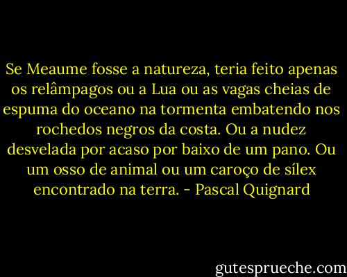 Se Meaume fosse a natureza, teria feito apenas os relâmpagos ou a Lua ou as vagas cheias de espuma do oceano na tormenta embatendo nos rochedos negros da costa. Ou a nudez desvelada por acaso por baixo de um pano. Ou um osso de animal ou um caroço de sílex encontrado na terra. - Pascal Quignard