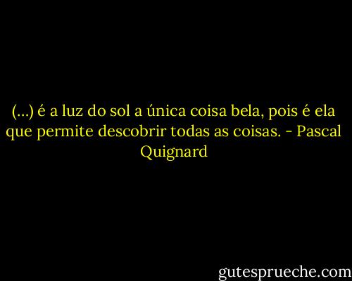 (…) é a luz do sol a única coisa bela, pois é ela que permite descobrir todas as coisas. - Pascal Quignard