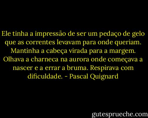 Ele tinha a impressão de ser um pedaço de gelo que as correntes levavam para onde queriam. Mantinha a cabeça virada para a margem. Olhava a charneca na aurora onde começava a nascer e a errar a bruma. Respirava com dificuldade. - Pascal Quignard