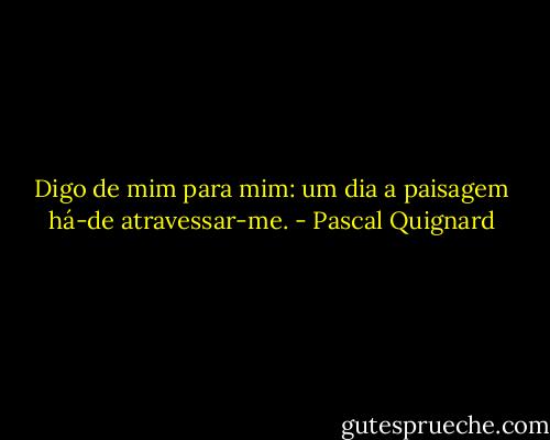 Digo de mim para mim: um dia a paisagem há-de atravessar-me. - Pascal Quignard