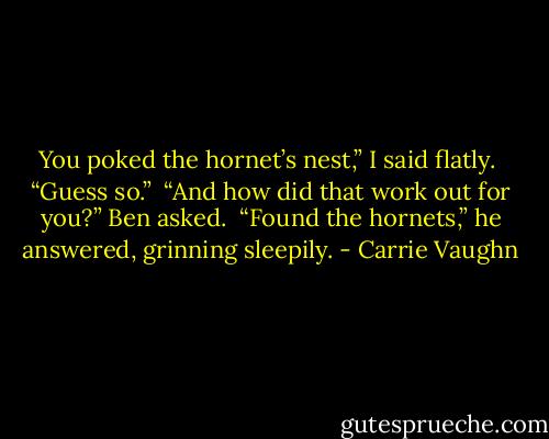 You poked the hornet’s nest,” I said flatly. <br />“Guess so.” <br />“And how did that work out for you?” Ben asked. <br />“Found the hornets,” he answered, grinning sleepily. - Carrie Vaughn