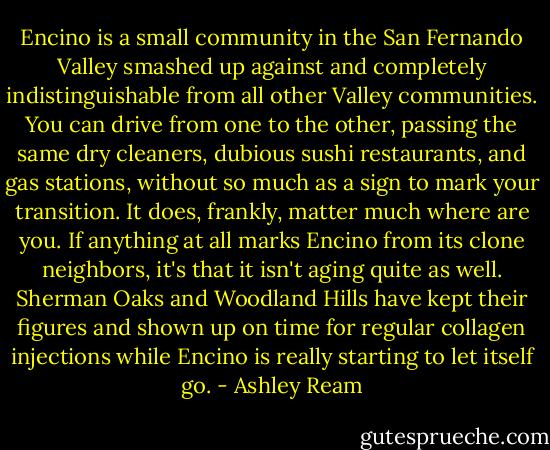 Encino is a small community in the San Fernando Valley smashed up against and completely indistinguishable from all other Valley communities. You can drive from one to the other, passing the same dry cleaners, dubious sushi restaurants, and gas stations, without so much as a sign to mark your transition. It does, frankly, matter much where are you. If anything at all marks Encino from its clone neighbors, it's that it isn't aging quite as well. Sherman Oaks and Woodland Hills have kept their figures and shown up on time for regular collagen injections while Encino is really starting to let itself go. - Ashley Ream