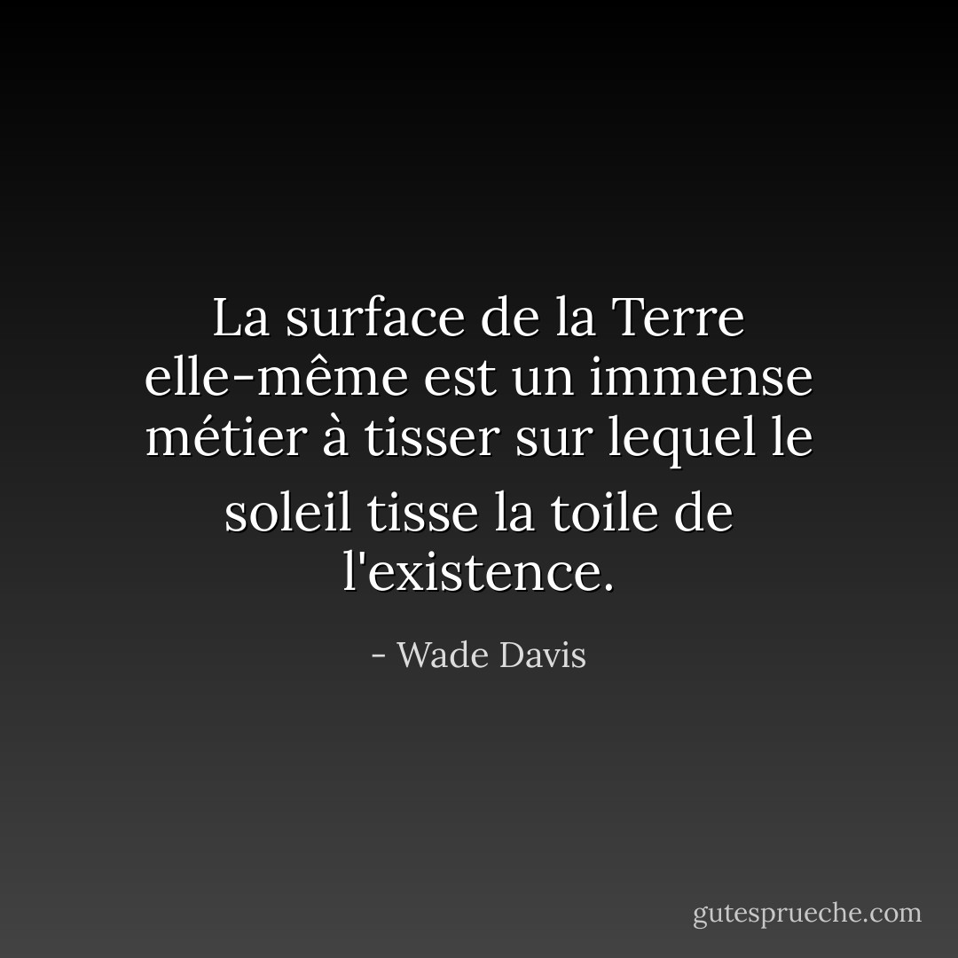 La surface de la Terre elle-même est un immense métier à tisser sur lequel le soleil tisse la toile de l'existence. - Wade Davis