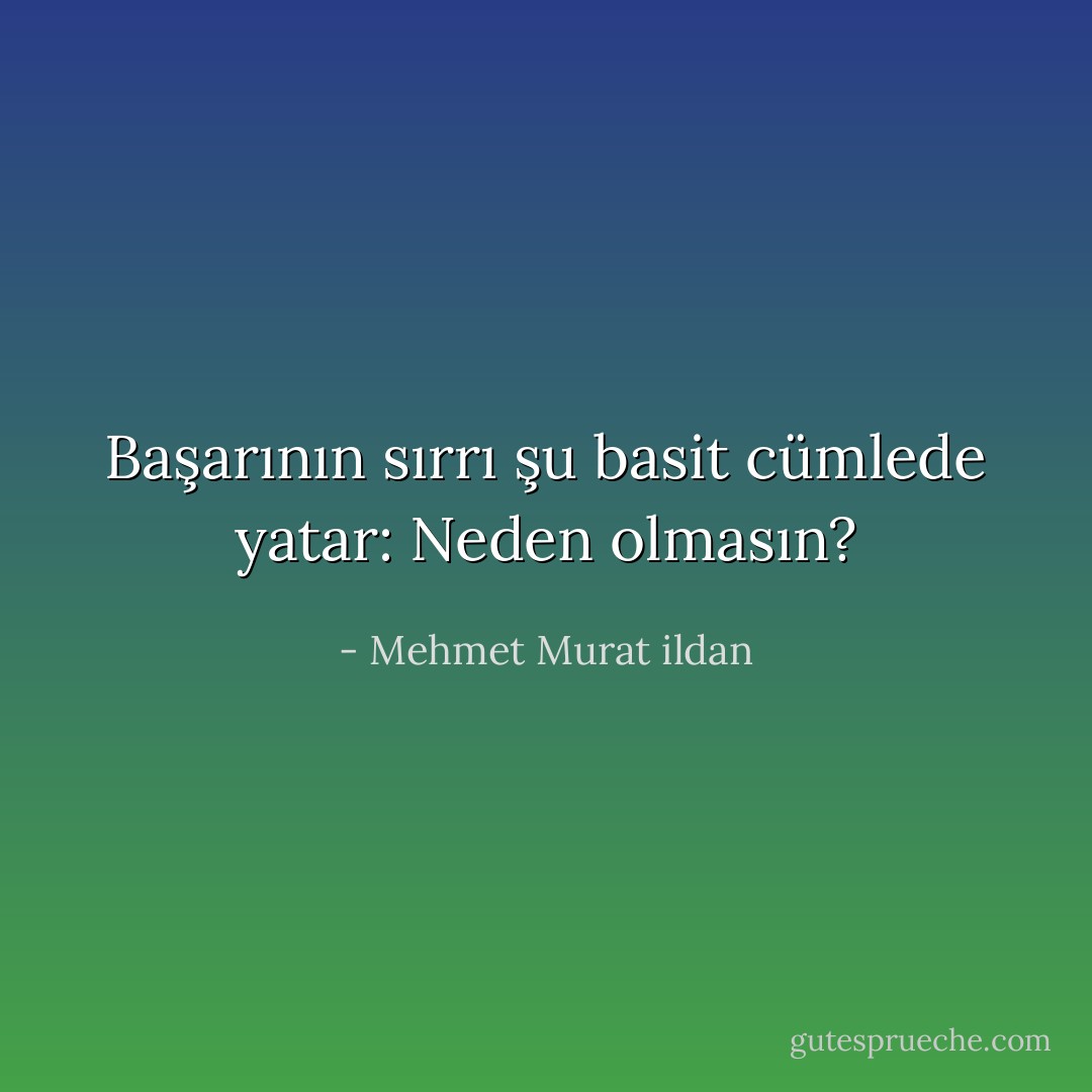 Başarının sırrı şu basit cümlede yatar: Neden olmasın? - Mehmet Murat ildan
