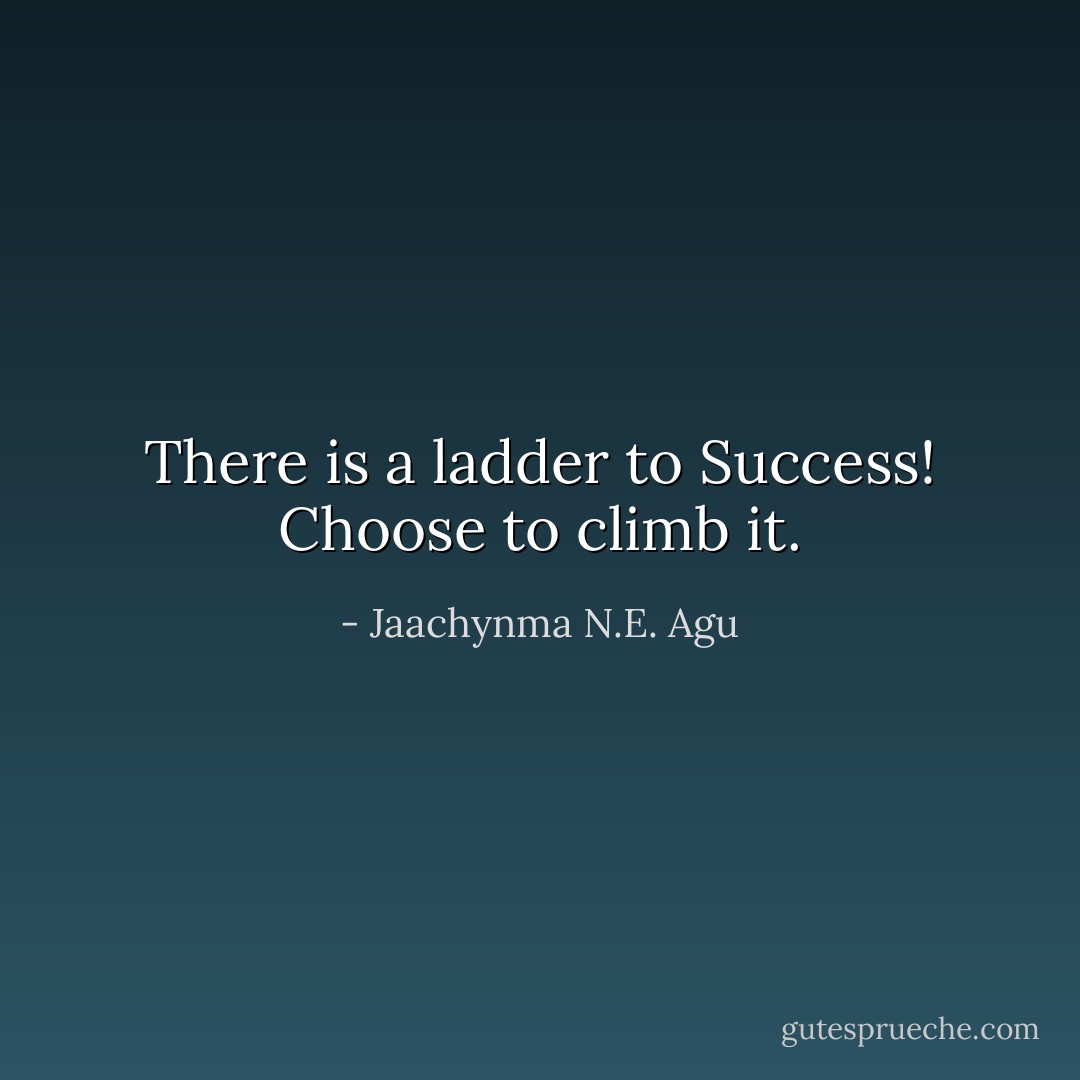 There is a ladder to Success! Choose to climb it. - Jaachynma N.E. Agu