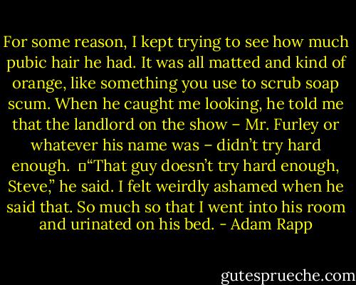 For some reason, I kept trying to see how much pubic hair he had. It was all matted and kind of orange, like something you use to scrub soap scum. When he caught me looking, he told me that the landlord on the show – Mr. Furley or whatever his name was – didn’t try hard enough. <br />	“That guy doesn’t try hard enough, Steve,” he said. I felt weirdly ashamed when he said that. So much so that I went into his room and urinated on his bed. - Adam Rapp