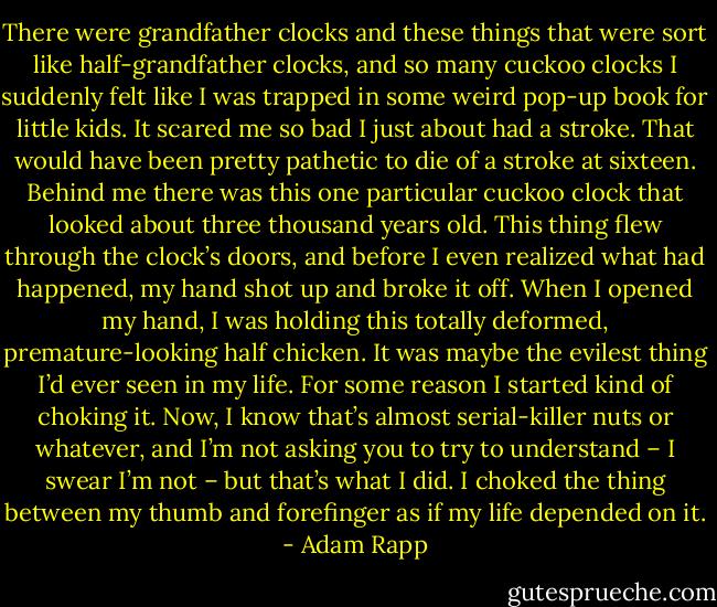 There were grandfather clocks and these things that were sort like half-grandfather clocks, and so many cuckoo clocks I suddenly felt like I was trapped in some weird pop-up book for little kids. It scared me so bad I just about had a stroke. That would have been pretty pathetic to die of a stroke at sixteen. Behind me there was this one particular cuckoo clock that looked about three thousand years old. This thing flew through the clock’s doors, and before I even realized what had happened, my hand shot up and broke it off. When I opened my hand, I was holding this totally deformed, premature-looking half chicken. It was maybe the evilest thing I’d ever seen in my life. For some reason I started kind of choking it. Now, I know that’s almost serial-killer nuts or whatever, and I’m not asking you to try to understand – I swear I’m not – but that’s what I did. I choked the thing between my thumb and forefinger as if my life depended on it. - Adam Rapp