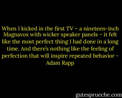 When I kicked in the first TV – a nineteen-inch Magnavox with wicker speaker panels – it felt like the most perfect thing I had done in a long time. And there’s nothing like the feeling of perfection that will inspire repeated behavior - Adam Rapp