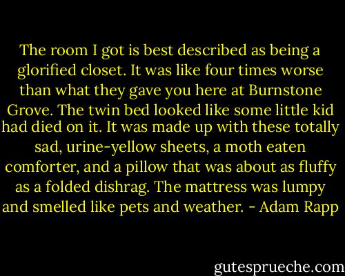 The room I got is best described as being a glorified closet. It was like four times worse than what they gave you here at Burnstone Grove. The twin bed looked like some little kid had died on it. It was made up with these totally sad, urine-yellow sheets, a moth eaten comforter, and a pillow that was about as fluffy as a folded dishrag. The mattress was lumpy and smelled like pets and weather. - Adam Rapp