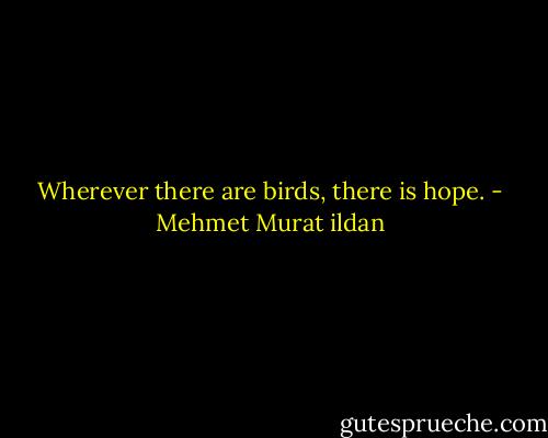 Wherever there are birds, there is hope. - Mehmet Murat ildan