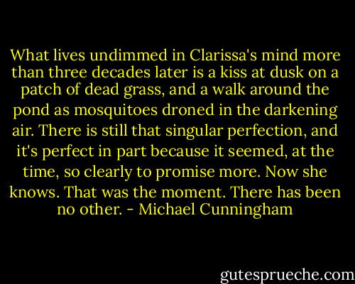 What lives undimmed in Clarissa's mind more than three decades later is a kiss at dusk on a patch of dead grass, and a walk around the pond as mosquitoes droned in the darkening air. There is still that singular perfection, and it's perfect in part because it seemed, at the time, so clearly to promise more. Now she knows. That was the moment. There has been no other. - Michael Cunningham