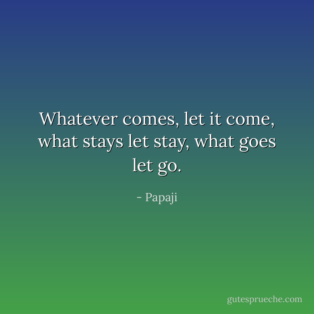 Whatever comes, let it come, what stays let stay, what goes let go. - Papaji