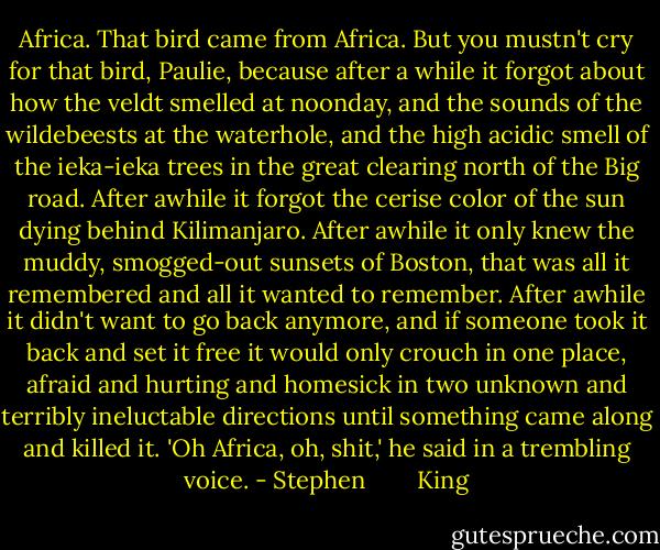 Africa.<br />That bird came from Africa.<br />But you mustn't cry for that bird, Paulie, because after a while it forgot about how the veldt smelled at noonday, and the sounds of the wildebeests at the waterhole, and the high acidic smell of the ieka-ieka trees in the great clearing north of the Big road. After awhile it forgot the cerise color of the sun dying behind Kilimanjaro. After awhile it only knew the muddy, smogged-out sunsets of Boston, that was all it remembered and all it wanted to remember. After awhile it didn't want to go back anymore, and if someone took it back and set it free it would only crouch in one place, afraid and hurting and homesick in two unknown and terribly ineluctable directions until something came along and killed it.<br />'Oh Africa, oh, shit,' he said in a trembling voice. - Stephen        King