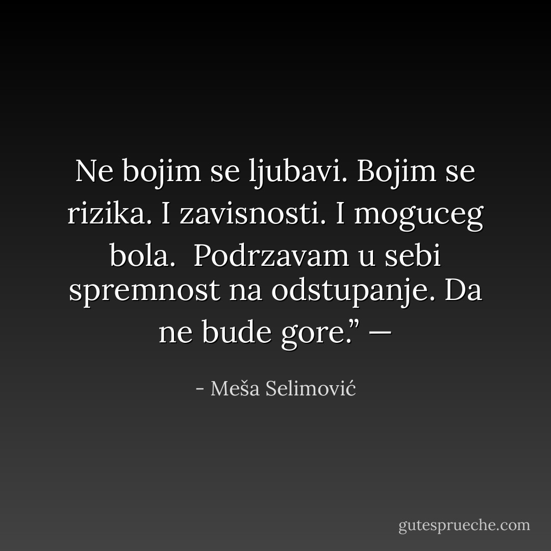 Ne bojim se ljubavi. Bojim se rizika. I zavisnosti. I moguceg bola. <br />Podrzavam u sebi spremnost na odstupanje. Da ne bude gore.”<br />— - Meša Selimović