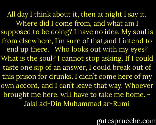 All day I think about it, then at night I say it.<br />Where did I come from, and what am I supposed to be doing?<br />I have no idea.<br />My soul is from elsewhere, I’m sure of that,and I intend to end up there.<br /> <br />Who looks out with my eyes? What is the soul?<br />I cannot stop asking.<br />If I could taste one sip of an answer,<br />I could break out of this prison for drunks.<br />I didn’t come here of my own accord, and I can’t leave that way.<br />Whoever brought me here, will have to take me home. - Jalal ad-Din Muhammad ar-Rumi