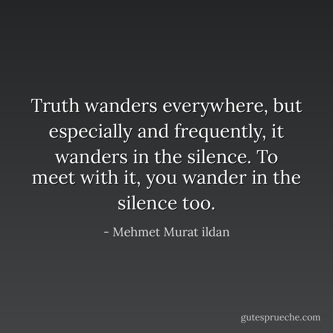 Truth wanders everywhere, but especially and frequently, it wanders in the silence. To meet with it, you wander in the silence too. - Mehmet Murat ildan