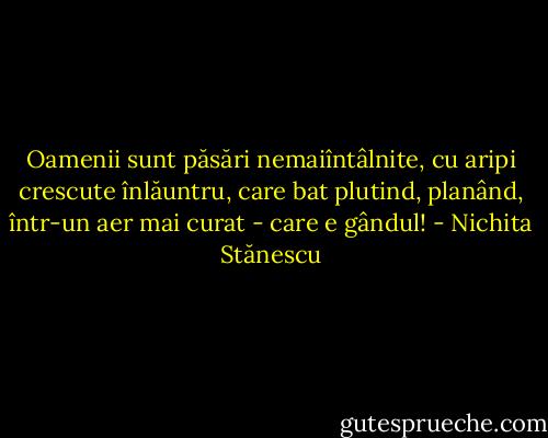 Oamenii sunt păsări nemaiîntâlnite,<br />cu aripi crescute înlăuntru,<br />care bat plutind, planând,<br />într-un aer mai curat - care e gândul! - Nichita Stănescu