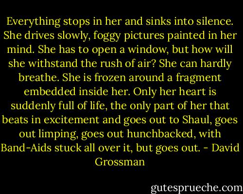 Everything stops in her and sinks into silence. She drives slowly, foggy pictures painted in her mind. She has to open a window, but how will she withstand the rush of air? She can hardly breathe. She is frozen around a fragment embedded inside her. Only her heart is suddenly full of life, the only part of her that beats in excitement and goes out to Shaul, goes out limping, goes out hunchbacked, with Band-Aids stuck all over it, but goes out. - David Grossman