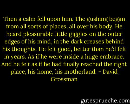 Then a calm fell upon him. The gushing began from all sorts of places, all over his body. He heard pleasurable little giggles on the outer edges of his mind, in the dark creases behind his thoughts. He felt good, better than he’d felt in years. As if he were inside a huge embrace. And he felt as if he had finally reached the right place, his home, his motherland. - David Grossman