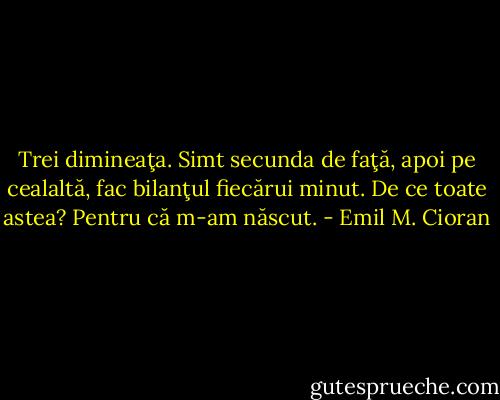 Trei dimineaţa. Simt secunda de faţă, apoi pe cealaltă, fac bilanţul fiecărui minut. De ce toate astea? Pentru că m-am născut. - Emil M. Cioran