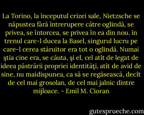 La Torino, la începutul crizei sale, Nietzsche se năpustea fără întrerupere către oglindă, se privea, se întorcea, se privea în ea din nou. în trenul care-l ducea la Basel, singurul lucru pe care-l cerea stăruitor era tot o oglindă. Numai ştia cine era, se căuta, şi el, cel atît de legat de ideea păstrării propriei identităţi, atît de avid de sine, nu maidispunea, ca să se regăsească, decît de cel mai grosolan, de cel mai jalnic dintre mijloace. - Emil M. Cioran