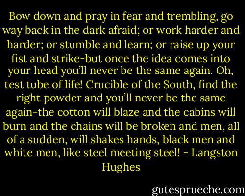 Bow down and pray in fear and trembling, go way back in the dark afraid; or work harder and harder; or stumble and learn; or raise up your fist and strike-but once the idea comes into your head you’ll never be the same again. Oh, test tube of life! Crucible of the South, find the right powder and you’ll never be the same again-the cotton will blaze and the cabins will burn and the chains will be broken and men, all of a sudden, will shakes hands, black men and white men, like steel meeting steel! - Langston Hughes
