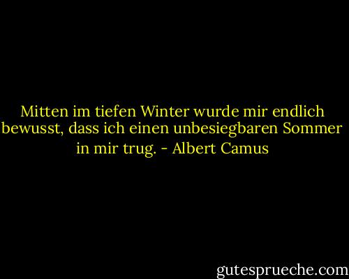 Mitten im tiefen Winter wurde mir endlich bewusst, dass ich einen unbesiegbaren Sommer in mir trug. - Albert Camus