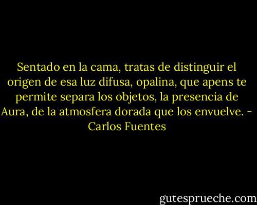 Sentado en la cama, tratas de distinguir el origen de esa luz difusa, opalina, que apens te permite separa los objetos, la presencia de Aura, de la atmosfera dorada que los envuelve. - Carlos Fuentes