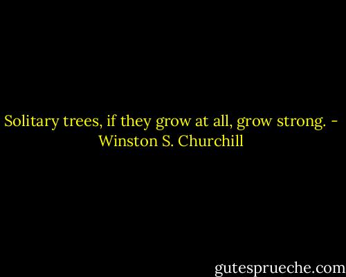 Solitary trees, if they grow at all, grow strong. - Winston S. Churchill