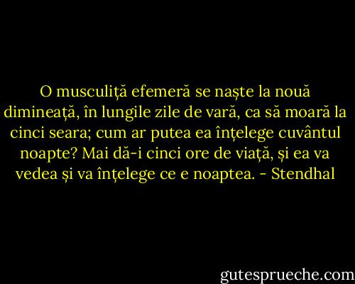 O musculiță efemeră se naște la nouă dimineață, în lungile zile de vară, ca să moară la cinci seara; cum ar putea ea înțelege cuvântul noapte? Mai dă-i cinci ore de viață, și ea va vedea și va înțelege ce e noaptea. - Stendhal