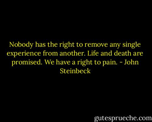 Nobody has the right to remove any single experience from another. Life and death are promised. We have a right to pain. - John Steinbeck