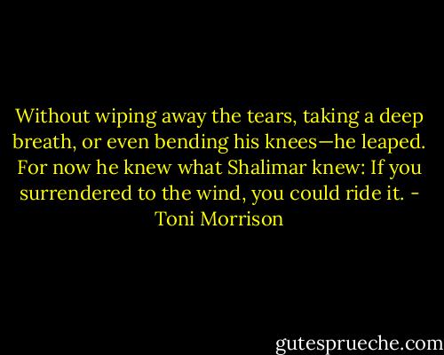 Without wiping away the tears, taking a deep breath, or even bending his knees—he leaped. For now he knew what Shalimar knew: If you surrendered to the wind, you could ride it. - Toni Morrison