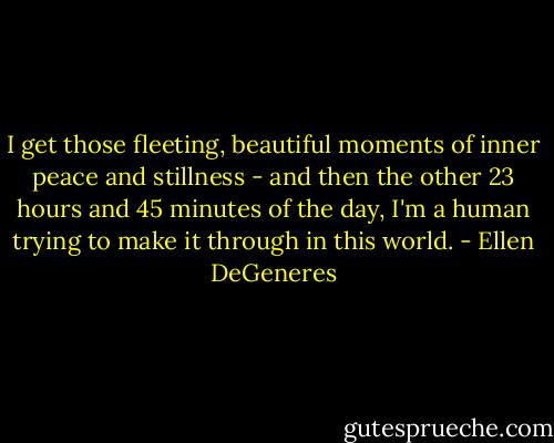 I get those fleeting, beautiful moments of inner peace and stillness - and then the other 23 hours and 45 minutes of the day, I'm a human trying to make it through in this world. - Ellen DeGeneres