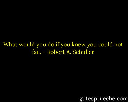 What would you do if you knew you could not fail. - Robert A. Schuller