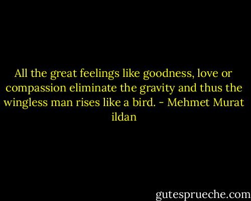 All the great feelings like goodness, love or compassion eliminate the gravity and thus the wingless man rises like a bird. - Mehmet Murat ildan