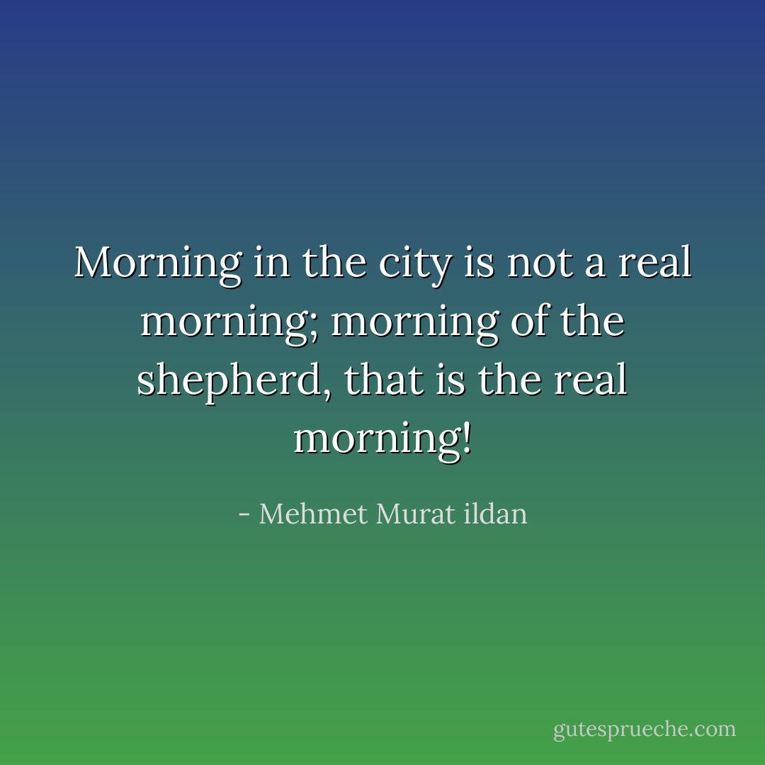 Morning in the city is not a real morning; morning of the shepherd, that is the real morning! - Mehmet Murat ildan