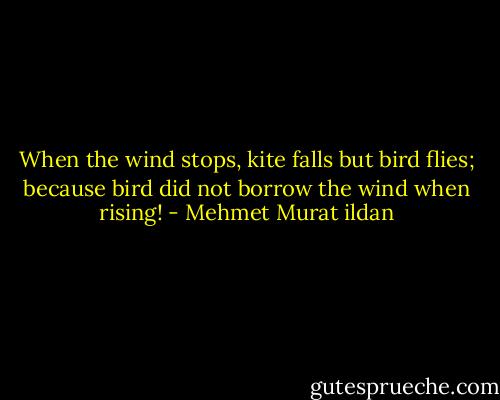 When the wind stops, kite falls but bird flies; because bird did not borrow the wind when rising! - Mehmet Murat ildan