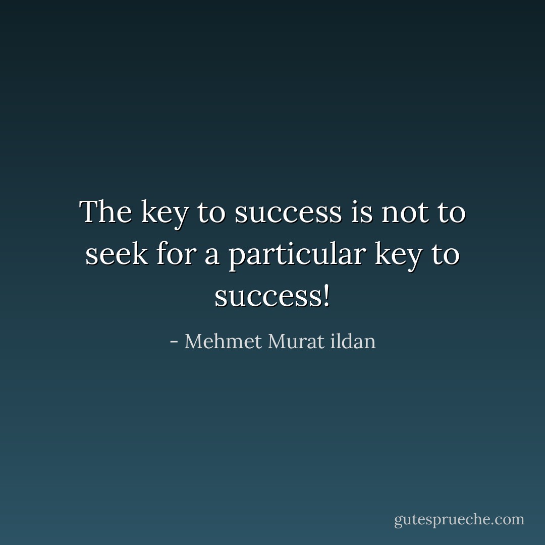 The key to success is not to seek for a particular key to success! - Mehmet Murat ildan