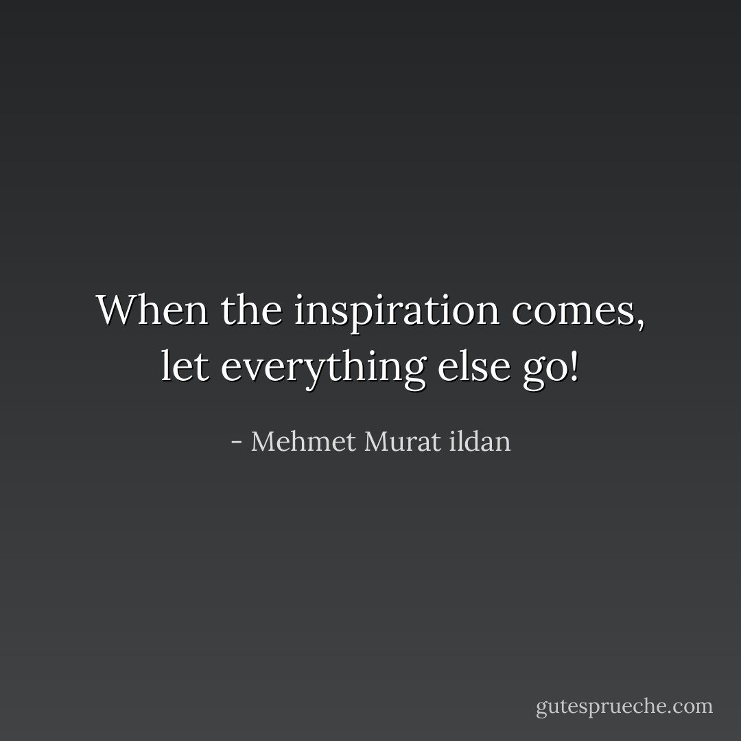 When the inspiration comes, let everything else go! - Mehmet Murat ildan