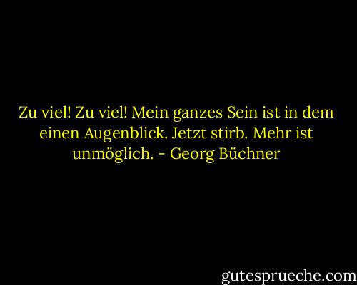 Zu viel! Zu viel! Mein ganzes Sein ist in dem einen Augenblick. Jetzt stirb. Mehr ist unmöglich. - Georg Büchner