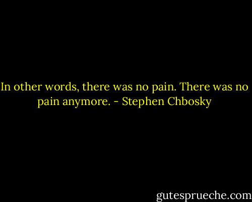 In other words, there was no pain. There was no pain anymore. - Stephen Chbosky