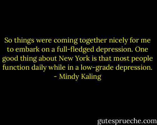 So things were coming together nicely for me to embark on a full-fledged depression. One good thing about New York is that most people function daily while in a low-grade depression. - Mindy Kaling