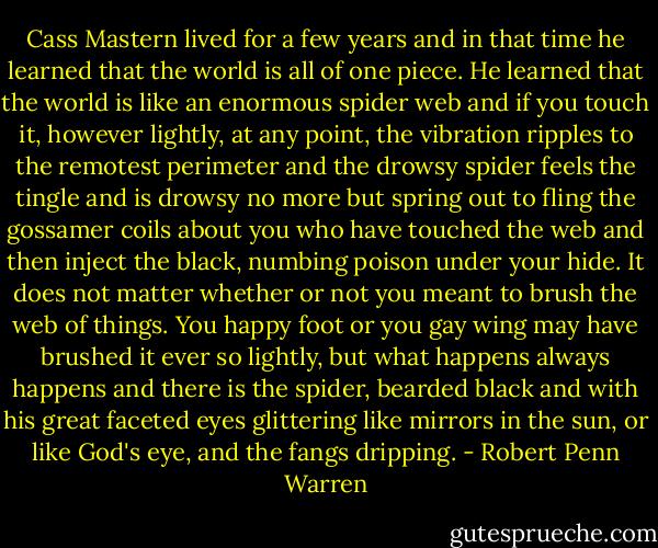 Cass Mastern lived for a few years and in that time he learned that the world is all of one piece. He learned that the world is like an enormous spider web and if you touch it, however lightly, at any point, the vibration ripples to the remotest perimeter and the drowsy spider feels the tingle and is drowsy no more but spring out to fling the gossamer coils about you who have touched the web and then inject the black, numbing poison under your hide. It does not matter whether or not you meant to brush the web of things. You happy foot or you gay wing may have brushed it ever so lightly, but what happens always happens and there is the spider, bearded black and with his great faceted eyes glittering like mirrors in the sun, or like God's eye, and the fangs dripping. - Robert Penn Warren