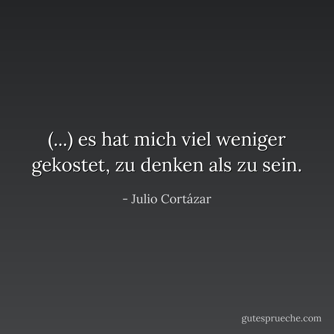 (...) es hat mich viel weniger gekostet, zu denken als zu sein. - Julio Cortázar<