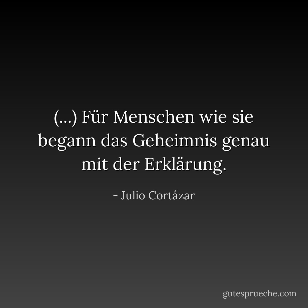 (...) Für Menschen wie sie begann das Geheimnis genau mit der Erklärung. - Julio Cortázar<